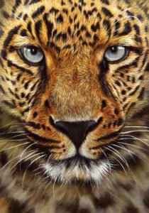 leopard-painting-final