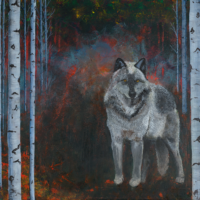 Into the Fire Grey Wolf and Birch Trees Giclee Art Print