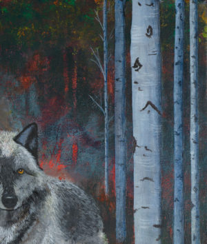 Into the Fire Grey Wolf and Birch Trees Giclee Canvas Print top right detail