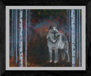 Into the Fire Grey Wolf and Birch Trees Giclee Art Print - Framed