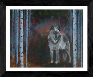 Into the Fire Grey Wolf and Birch Trees Giclee Art Print- Framed