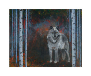 Into the Fire Grey Wolf and Birch Trees Giclee Canvas Print