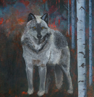 Into the Fire Grey Wolf and Birch Trees Giclee Canvas Print -closeup