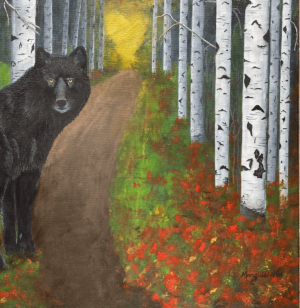 Follow Your Heart Black Wolf and Birch Trees Close up 2