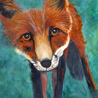 Eyes of the Wild - Fox 6 x 6