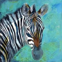 Stripes of the Wild - Zebra 6 x 6