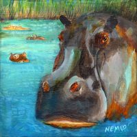 Wild and Water Wise - Hippo 6 x 6