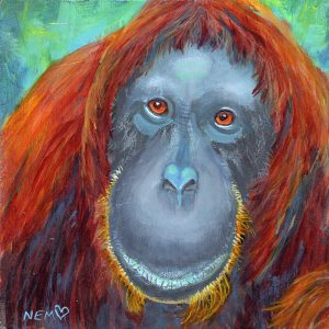 Soulful King - Orangutan 6 x 6