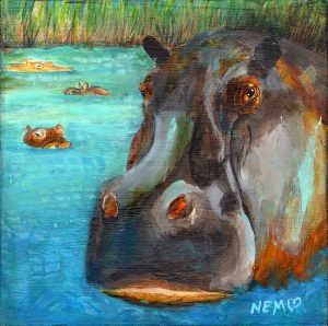 Wild Oasis - Hippo 6 x 6